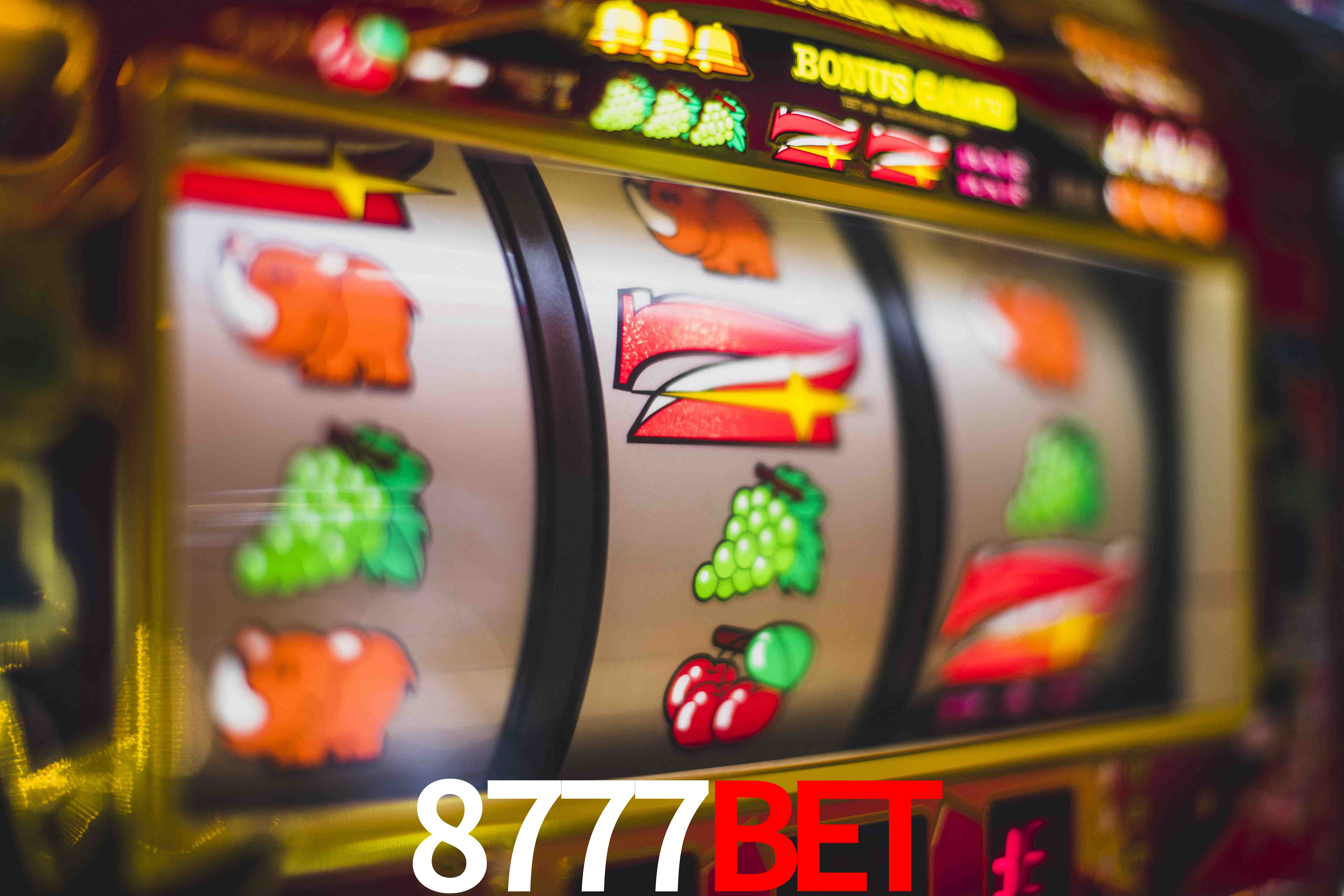 Experiência VIP 8777bet